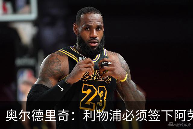 奥尔德里奇：利物浦必须签下阿劳霍