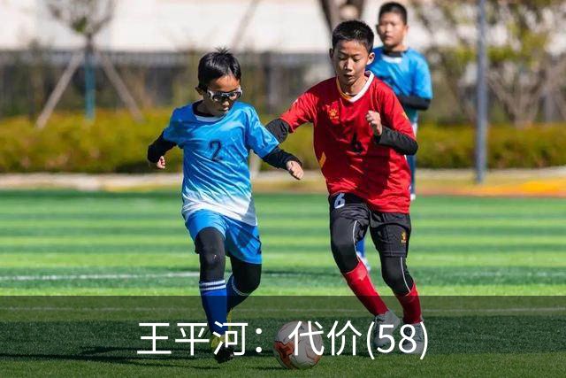 王平河：代价(5/8)